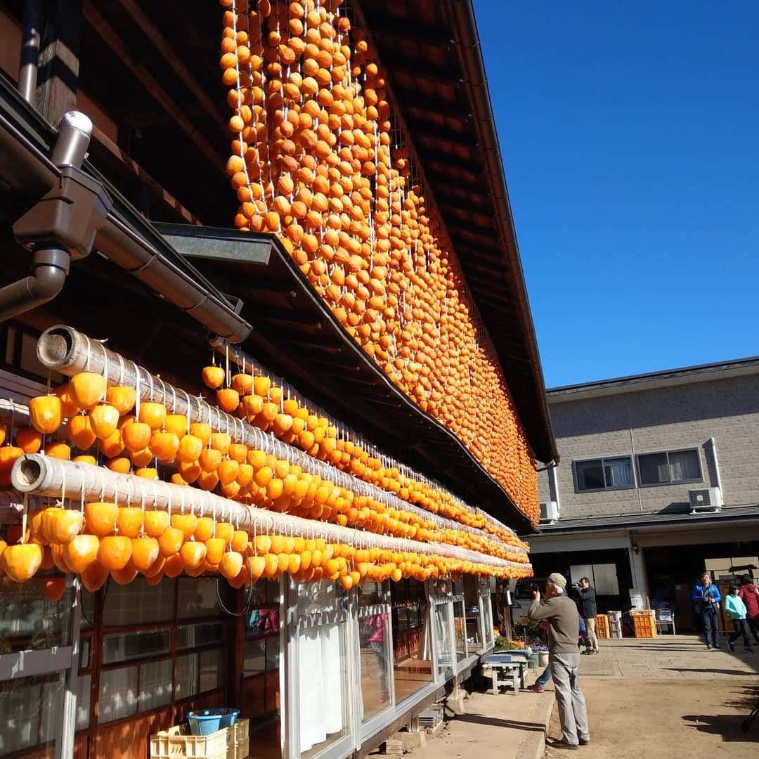 Persimmon Drying Racks, Koshu, Yamanashi photo 4