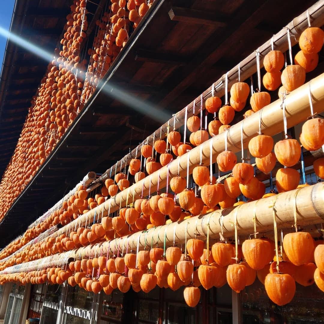 Persimmon Drying Racks, Koshu, Yamanashi photo 5