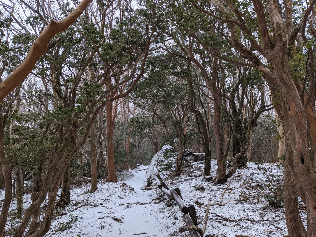 Mt. Banjirodake Summit Sign, Early Spring Snow photo 6