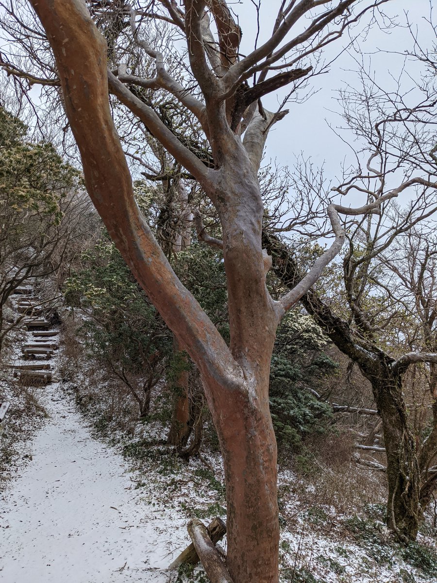 Mt. Banjirodake Summit Sign, Early Spring Snow photo 8