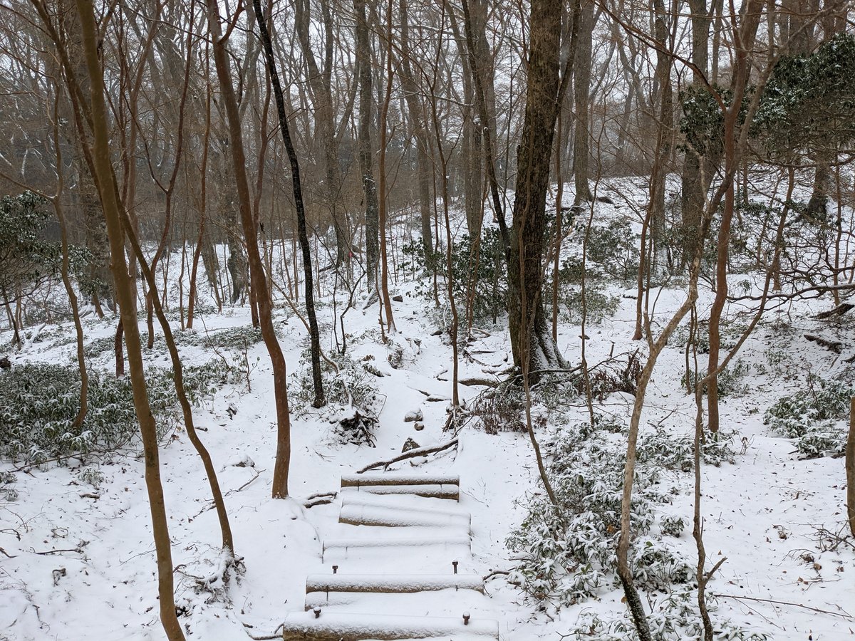 Mt. Amagi Forest Trail in Early Spring Snow, Izu