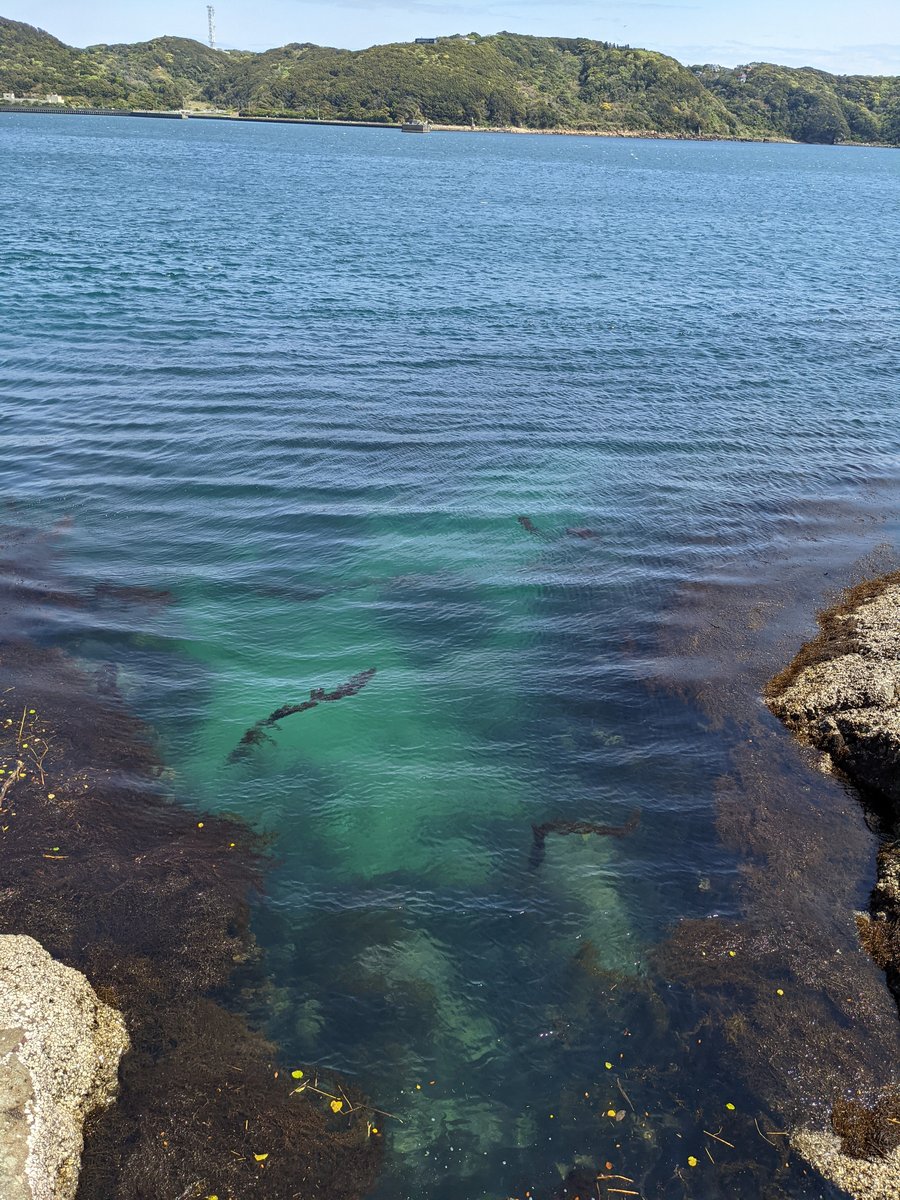 Crystal Waters and Hidden Coves, Shizuoka Coast