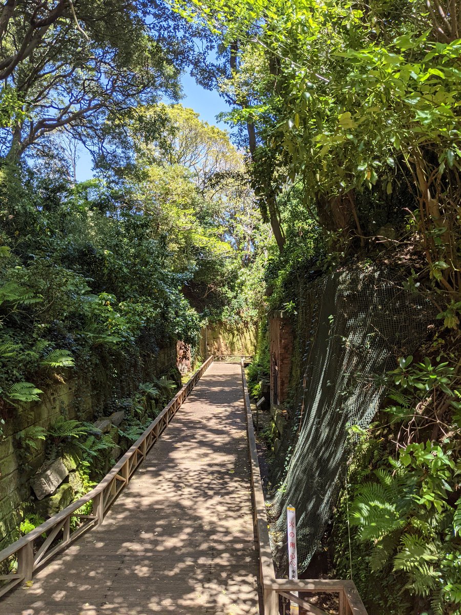 Forest Bridge Trail, Kanagawa — Spring Canopy Walk photo 2