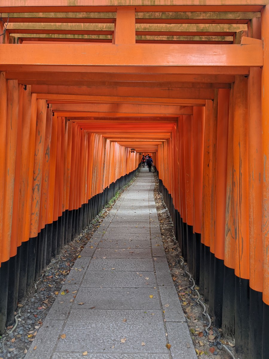 Spring at Fukakusa Shrine, Kyoto — Red Torii & Guardian Stone photo 4