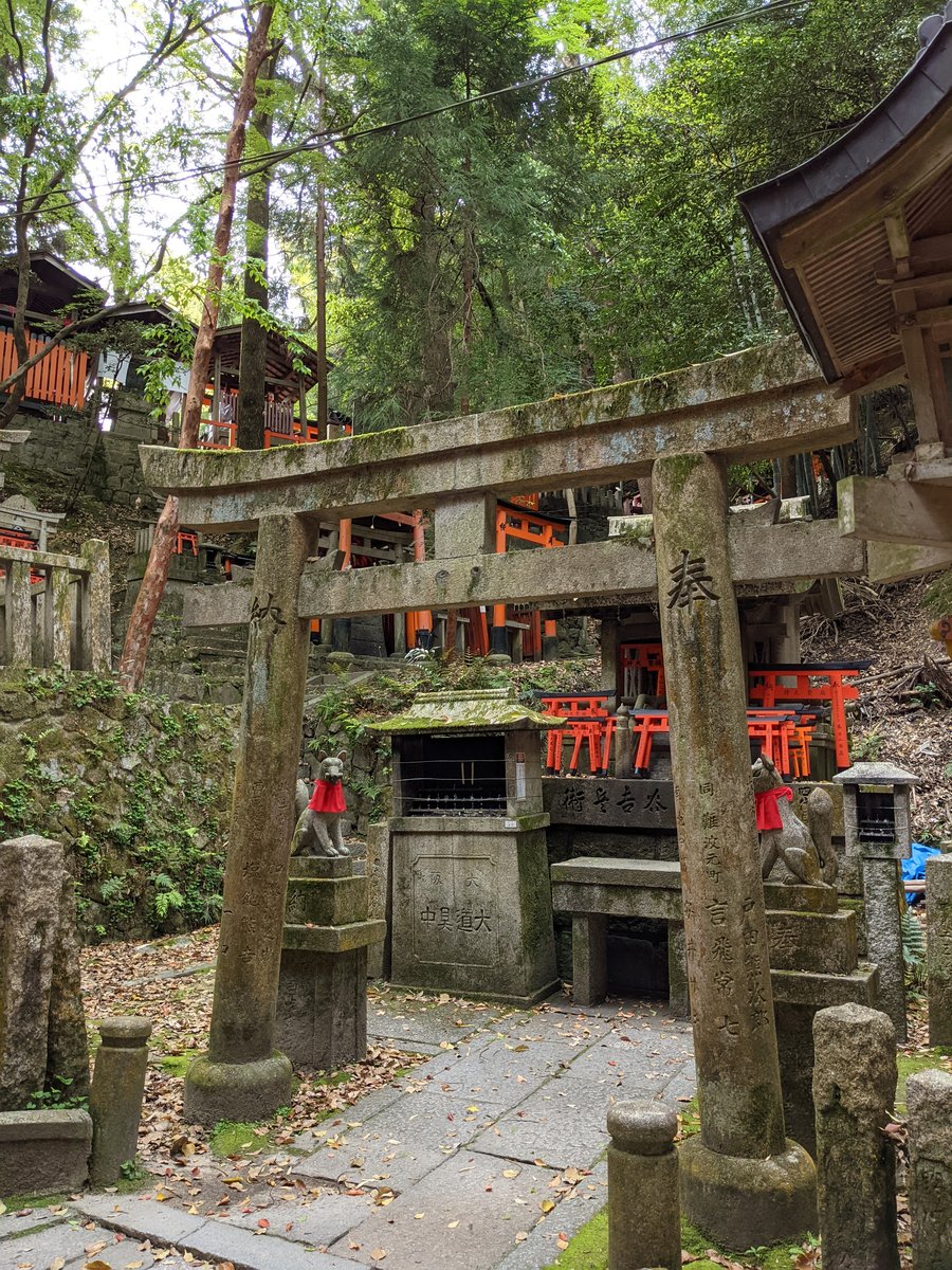 Hidden Shrine in Fukakusa Forest, Kyoto — April Green