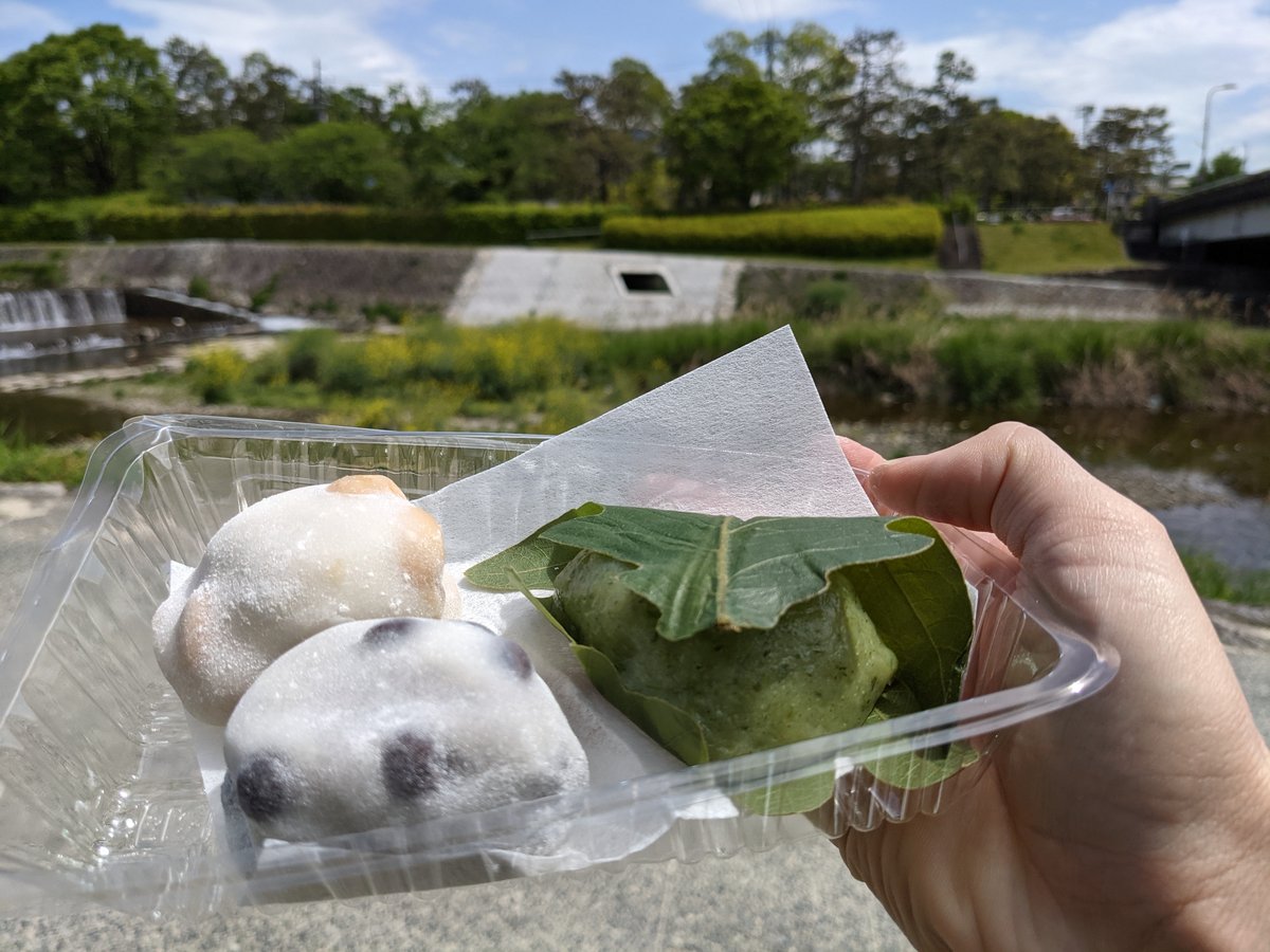 Spring Mochi & River View in Kyoto's Tanaka-Shimoyanagicho