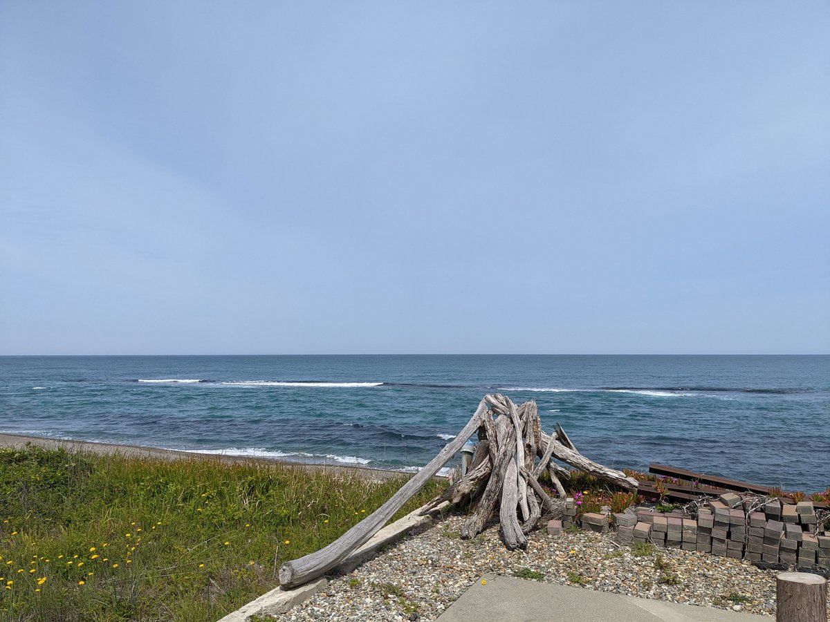 Driftwood & Spring Seas, Takatsu Beach, Shimane