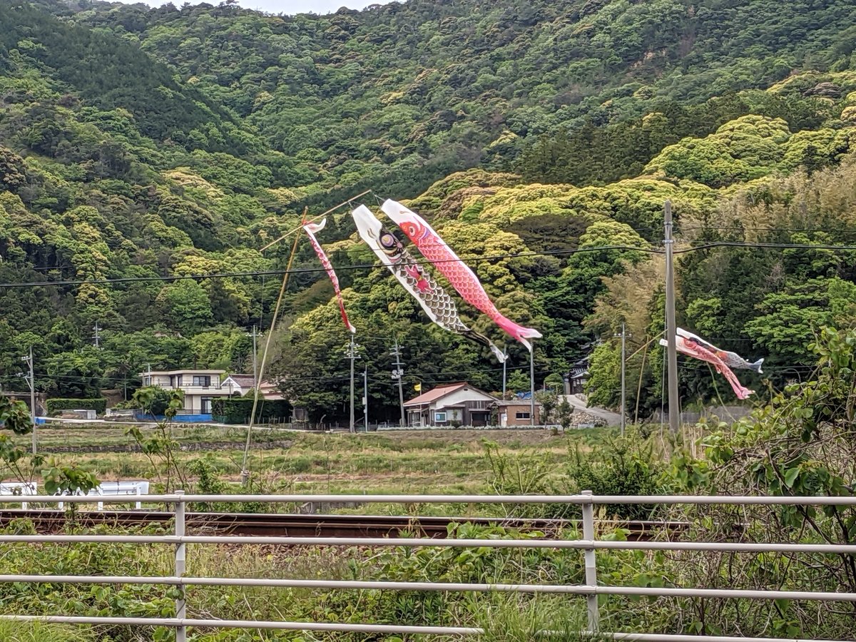 Koinobori Dancing Over Rural Nago, Yamaguchi
