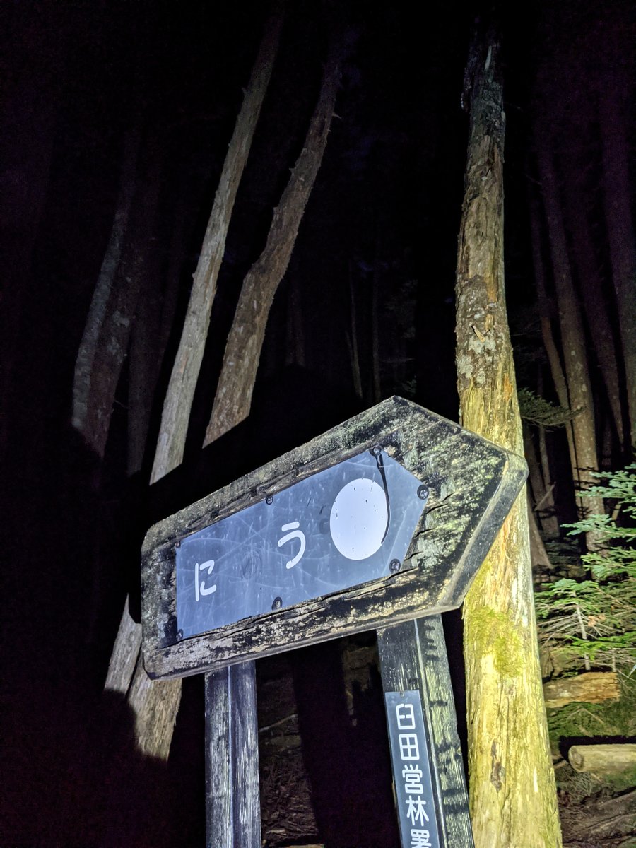 Night Forest Trail, Koumi, Mt. Yatsugatake