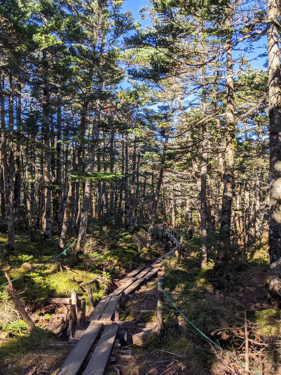 Mt. Yatsugatake Dawn Light, Nagano photo 6