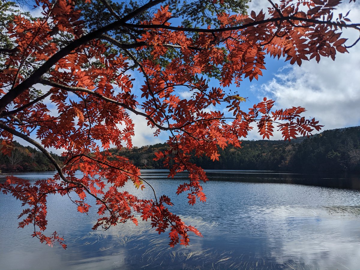 Autumn Lake & Forest View, Sakuho, Nagano photo 2