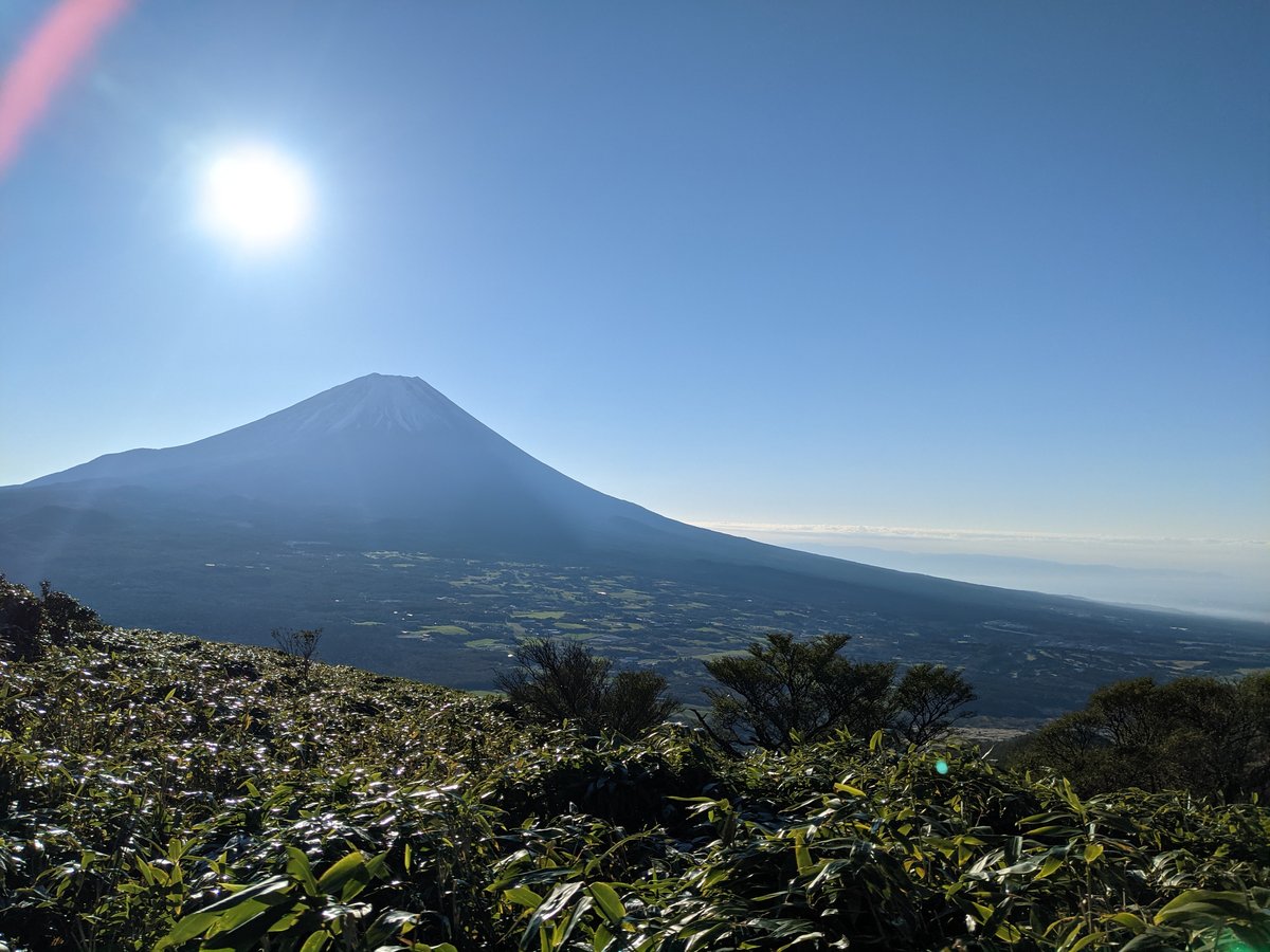 Early Morning Forest View of Mt. Fuji, Fujikawaguchiko photo 2