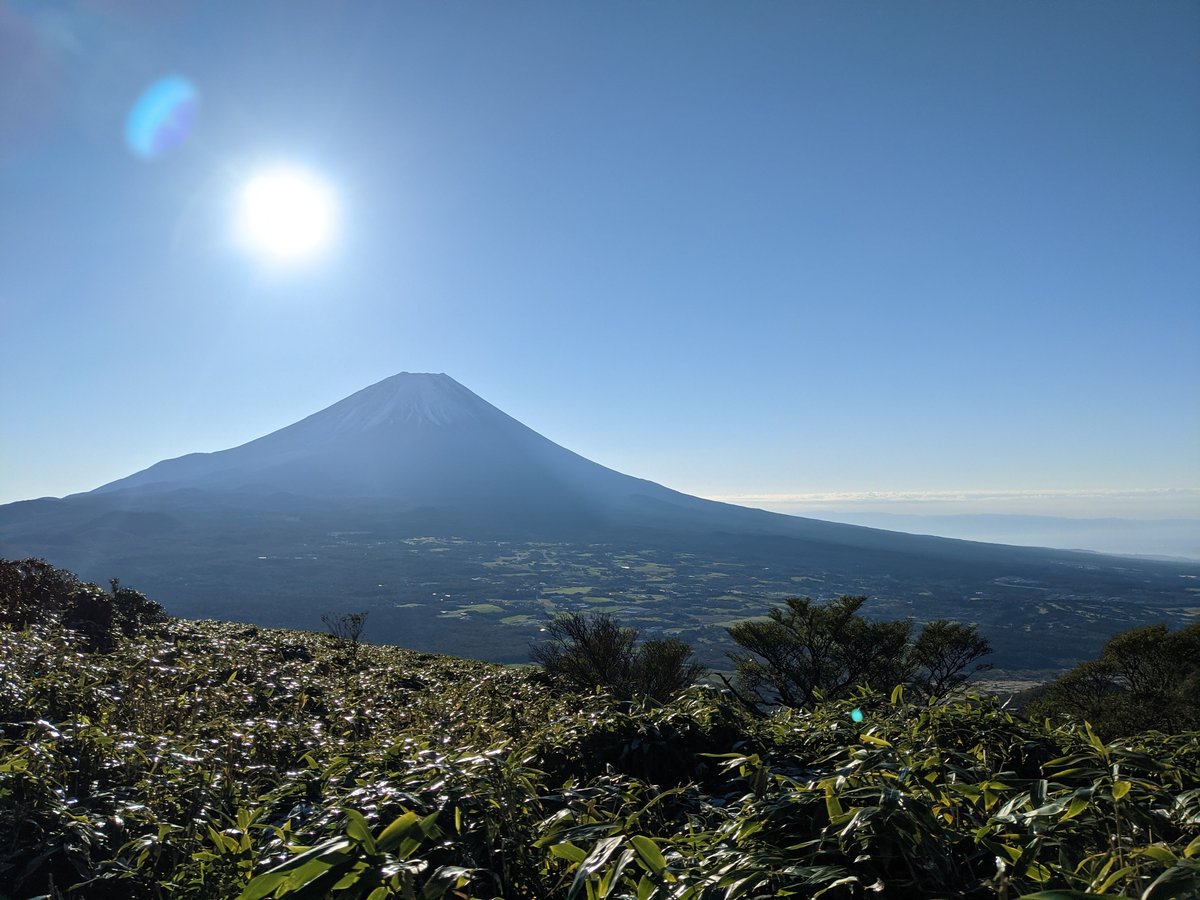 Early Morning Forest View of Mt. Fuji, Fujikawaguchiko photo 3