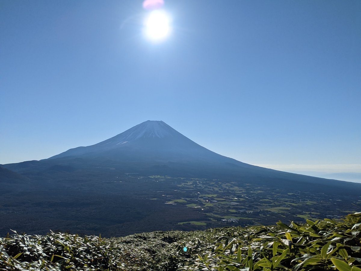 Early Morning Forest View of Mt. Fuji, Fujikawaguchiko photo 4