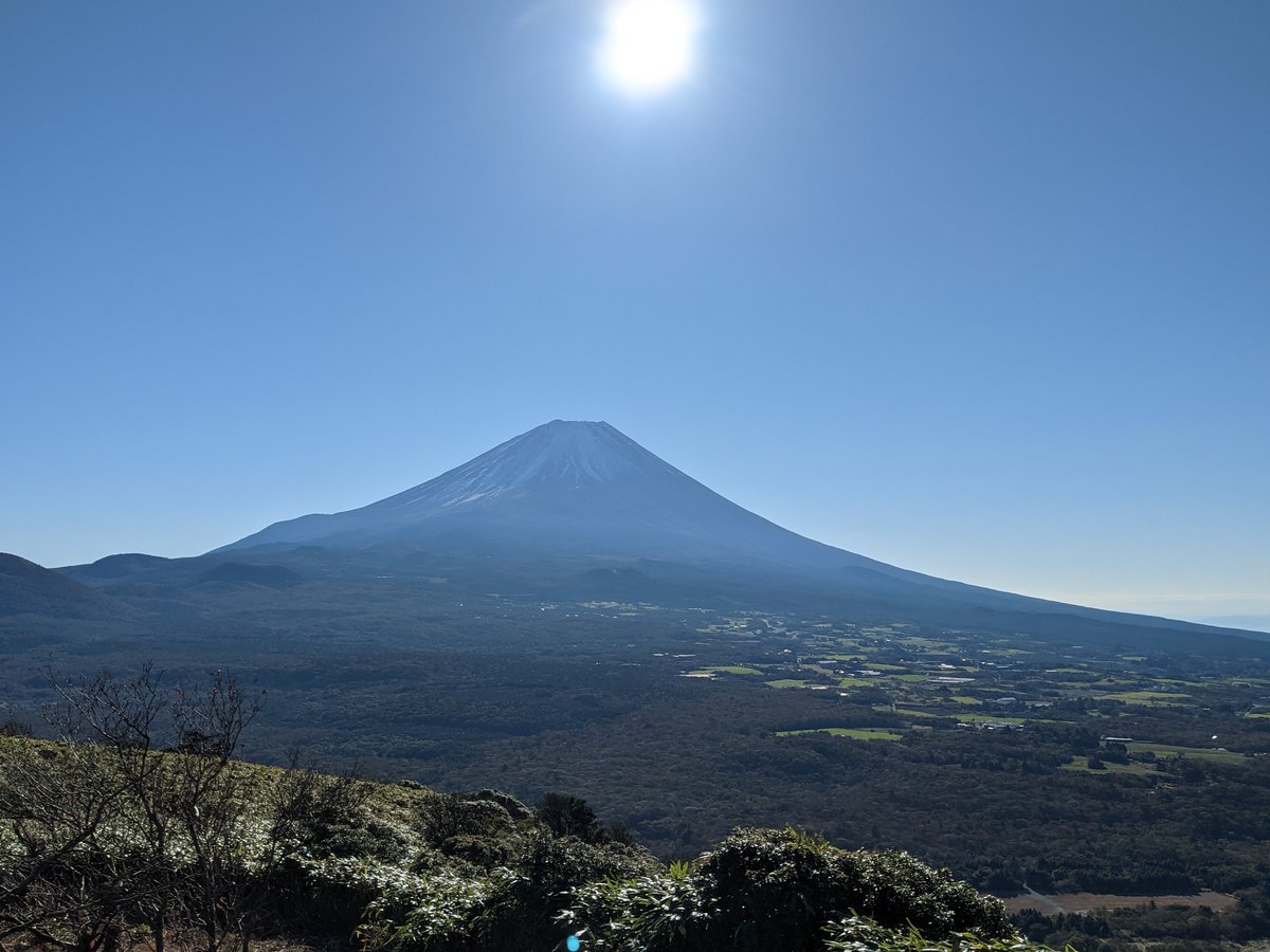 Early Morning Forest View of Mt. Fuji, Fujikawaguchiko photo 5