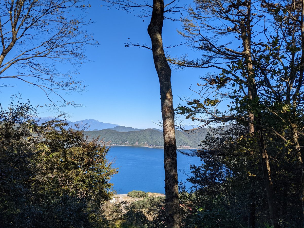 Motosu Lake Forest Trail, Yamanashi