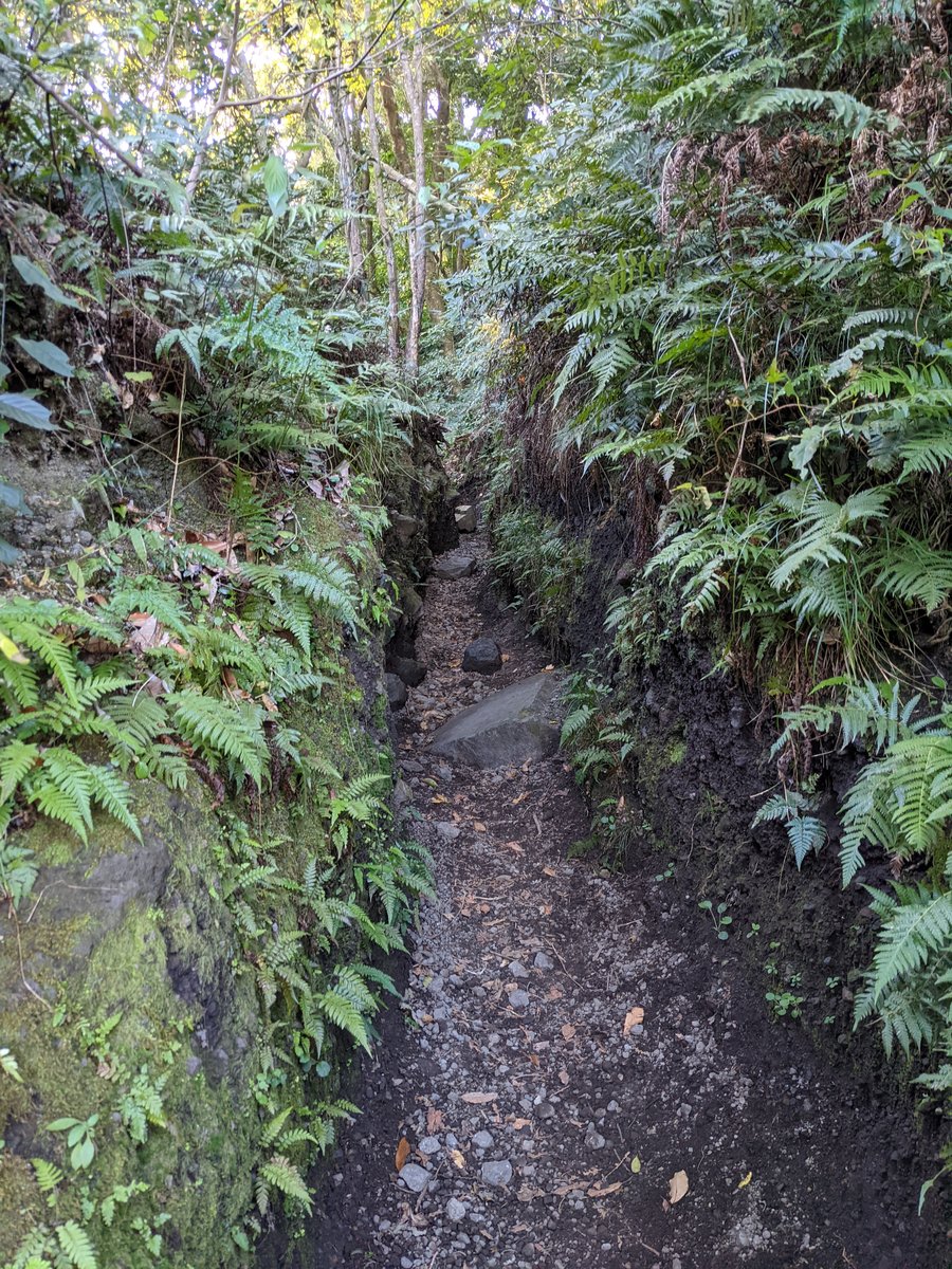 Mt. Kaimon Forest Trail, Ibusuki Kagoshima