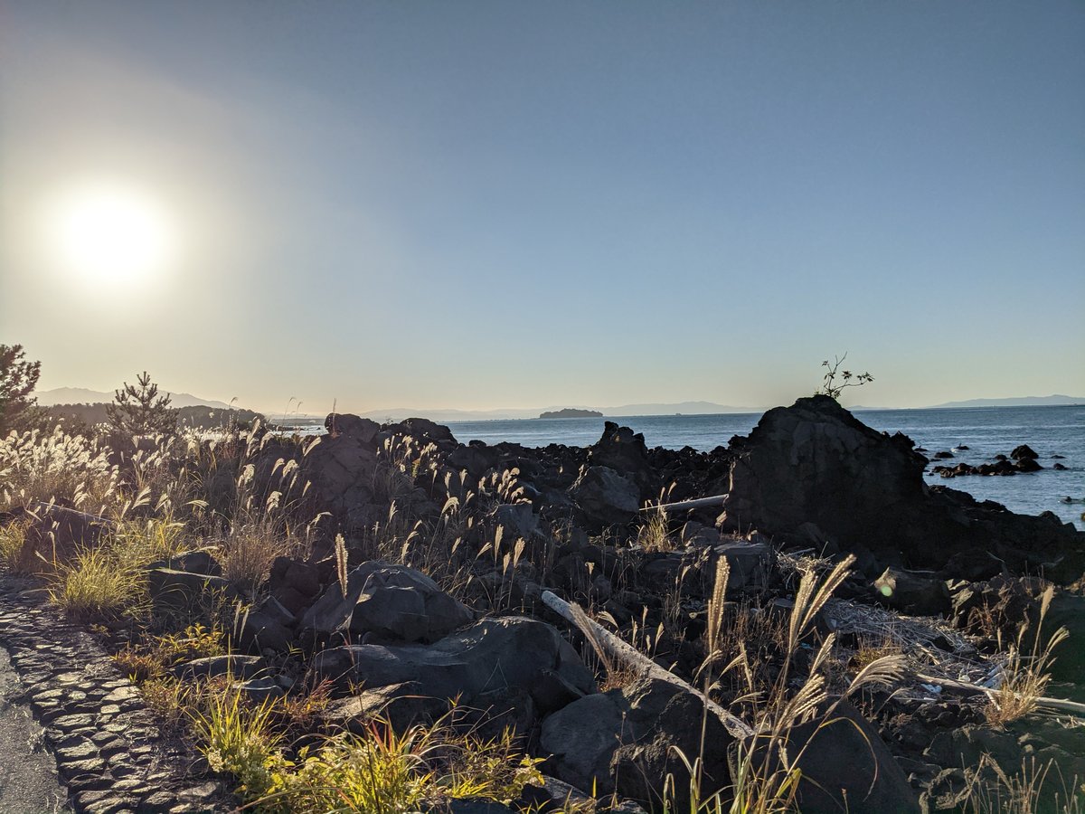 Sakurajima Yokoyama Cho Beach, Kagoshima — Morning Light