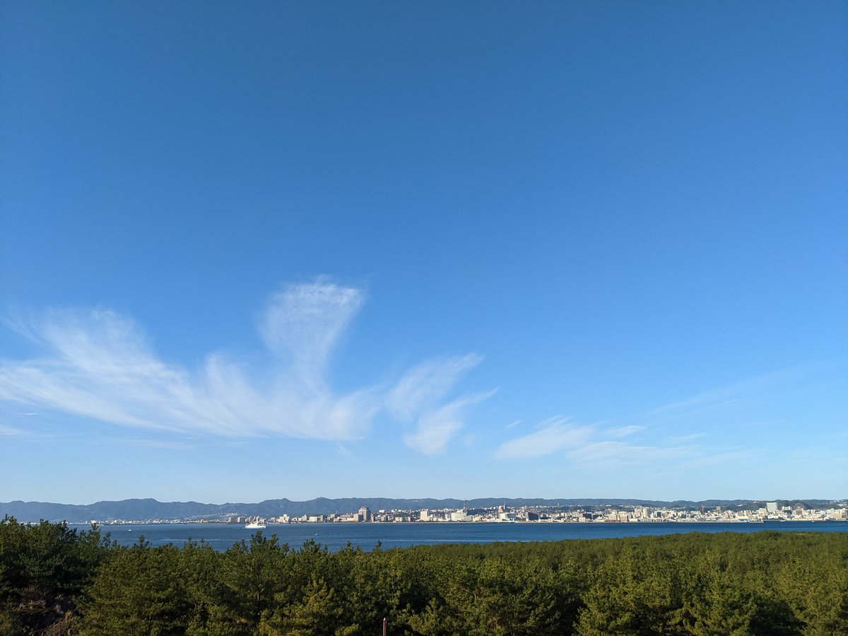 Forest Trail on Sakurajima, Kagoshima photo 2