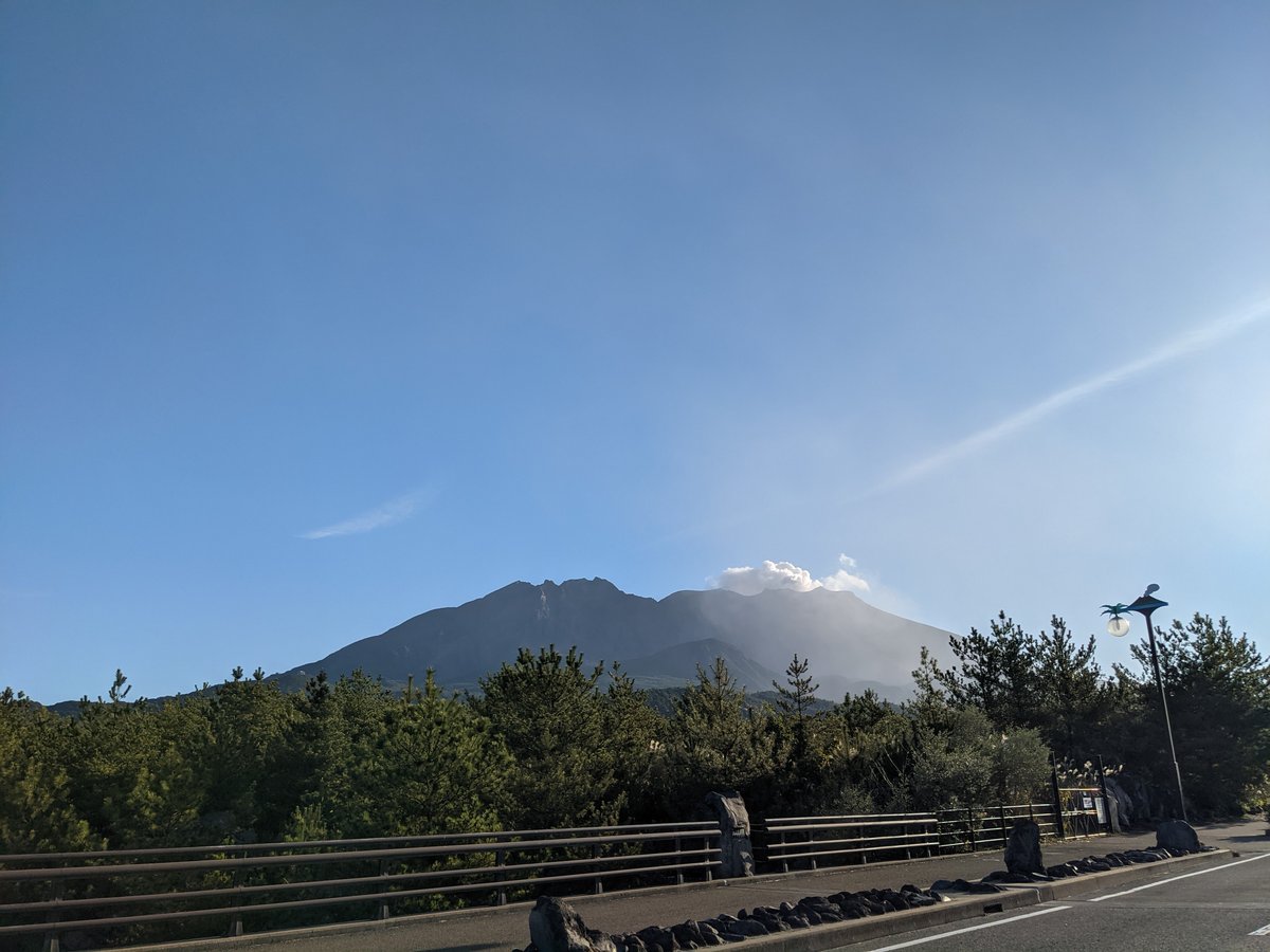 Forest Trail on Sakurajima, Kagoshima photo 5
