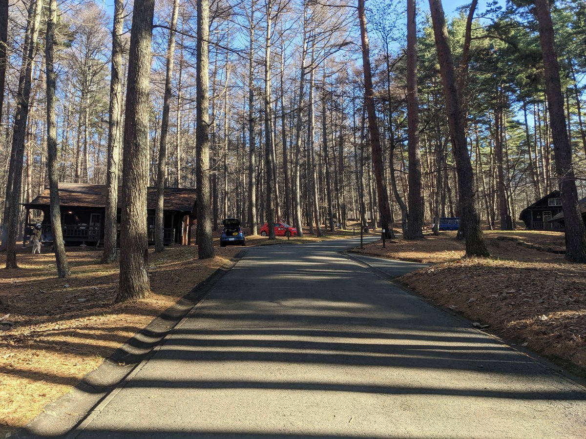 Winter Camping in Nagatoro Forest, Nagano