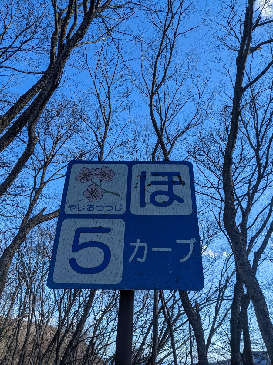 Winter Forest Walk, Hosoo Town, Nikkō photo 2