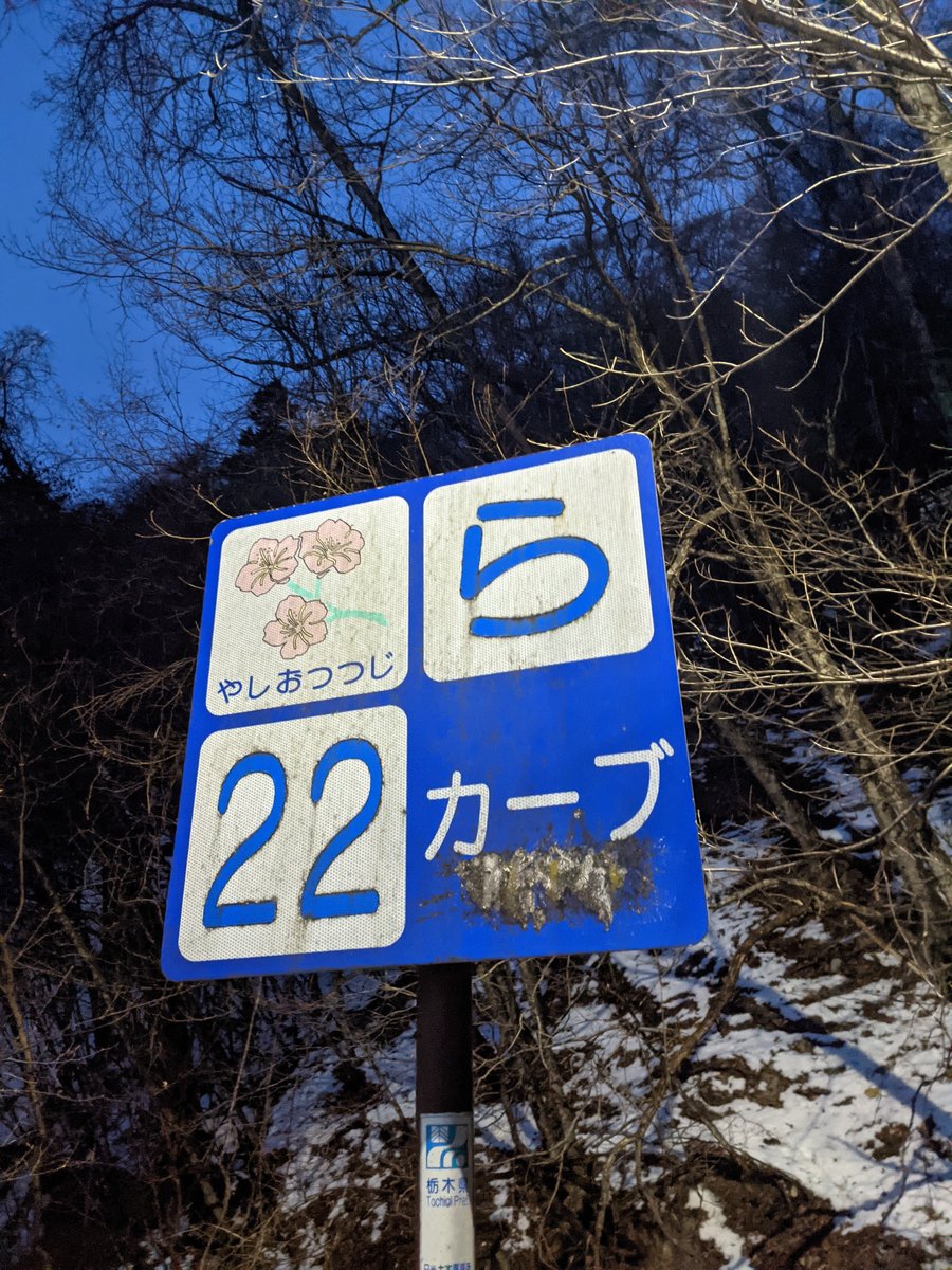 Early Morning on Nikkō's Mountain Road, Tochigi