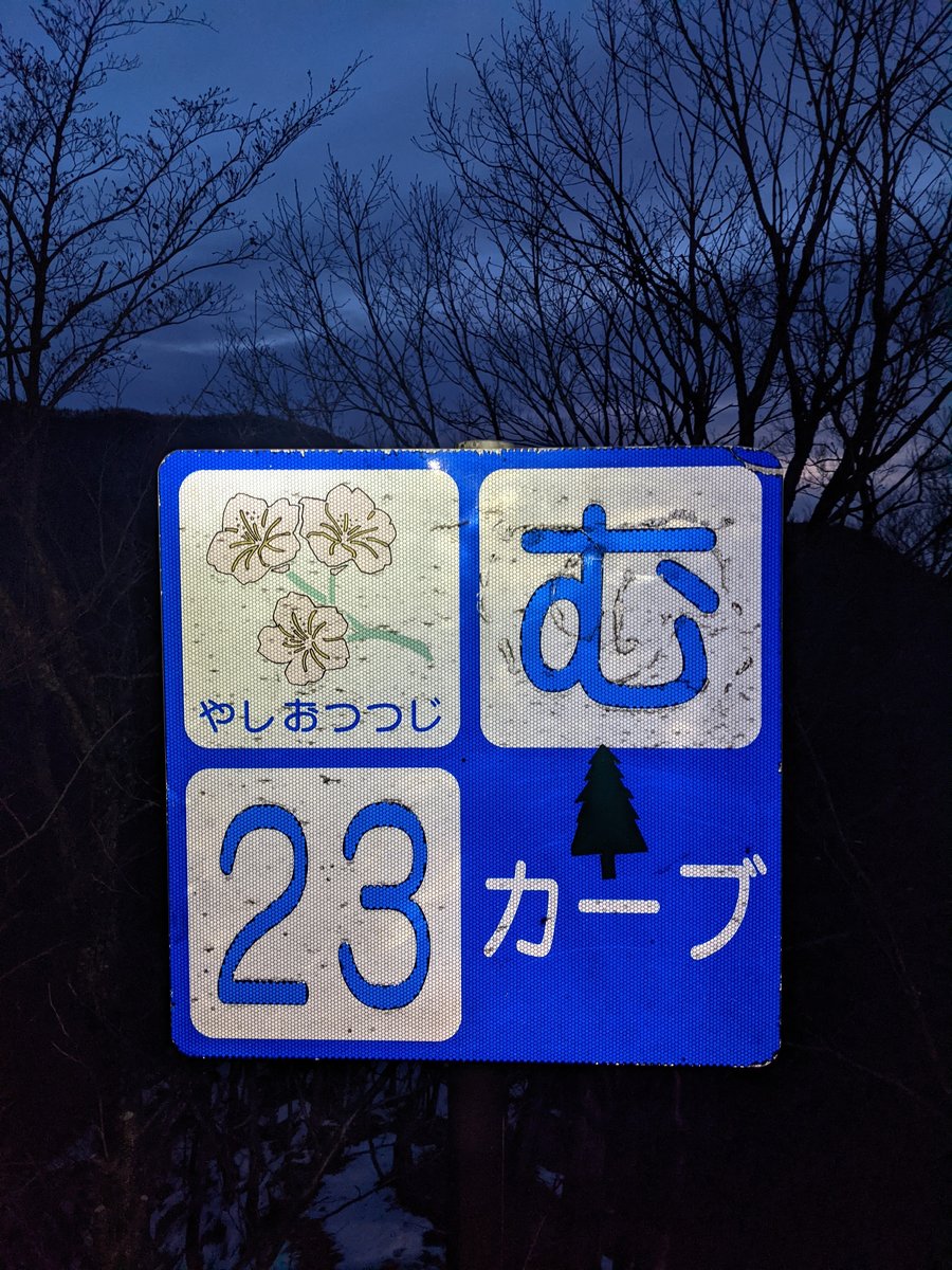 Dawn Hike in Nikkō, Tochigi — Winter Forest Roads photo 2