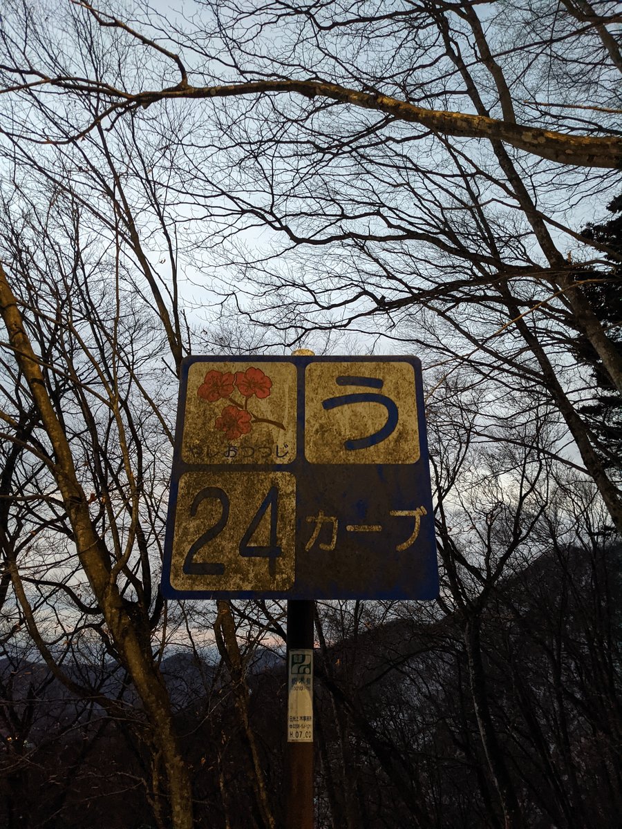 Dawn Hike in Nikkō, Tochigi — Winter Forest Roads photo 3