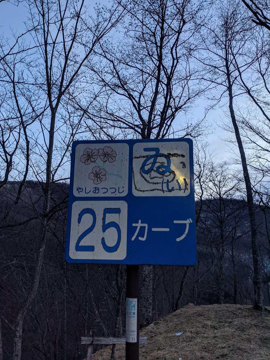 Dawn Hike in Nikkō, Tochigi — Winter Forest Roads photo 4