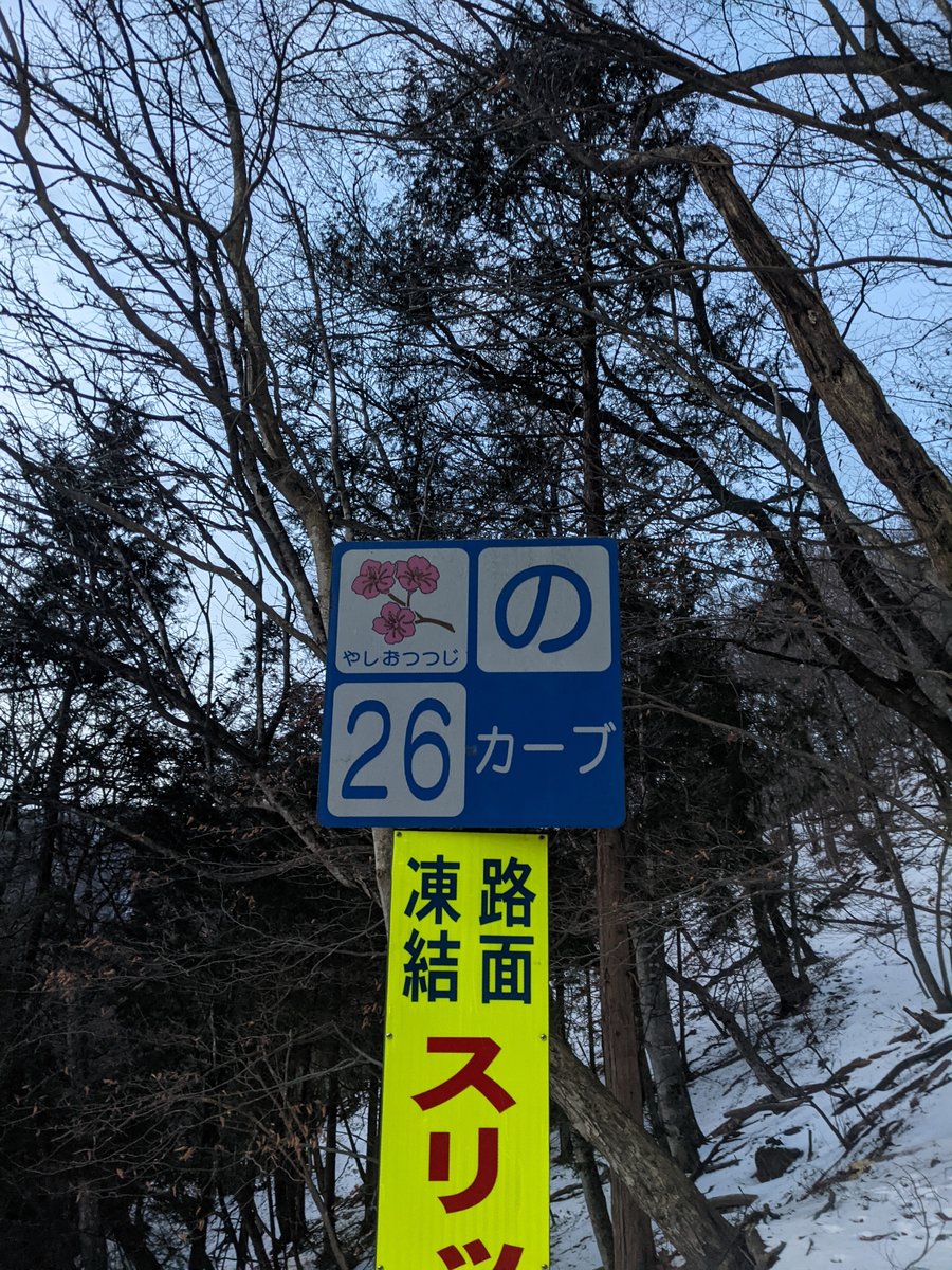 Dawn Hike in Nikkō, Tochigi — Winter Forest Roads photo 5