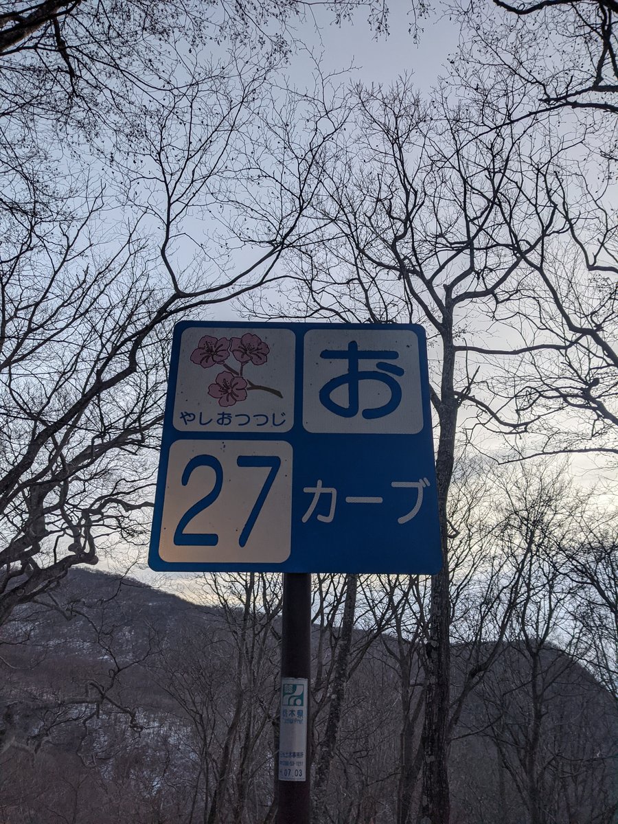 Dawn Hike in Nikkō, Tochigi — Winter Forest Roads photo 6