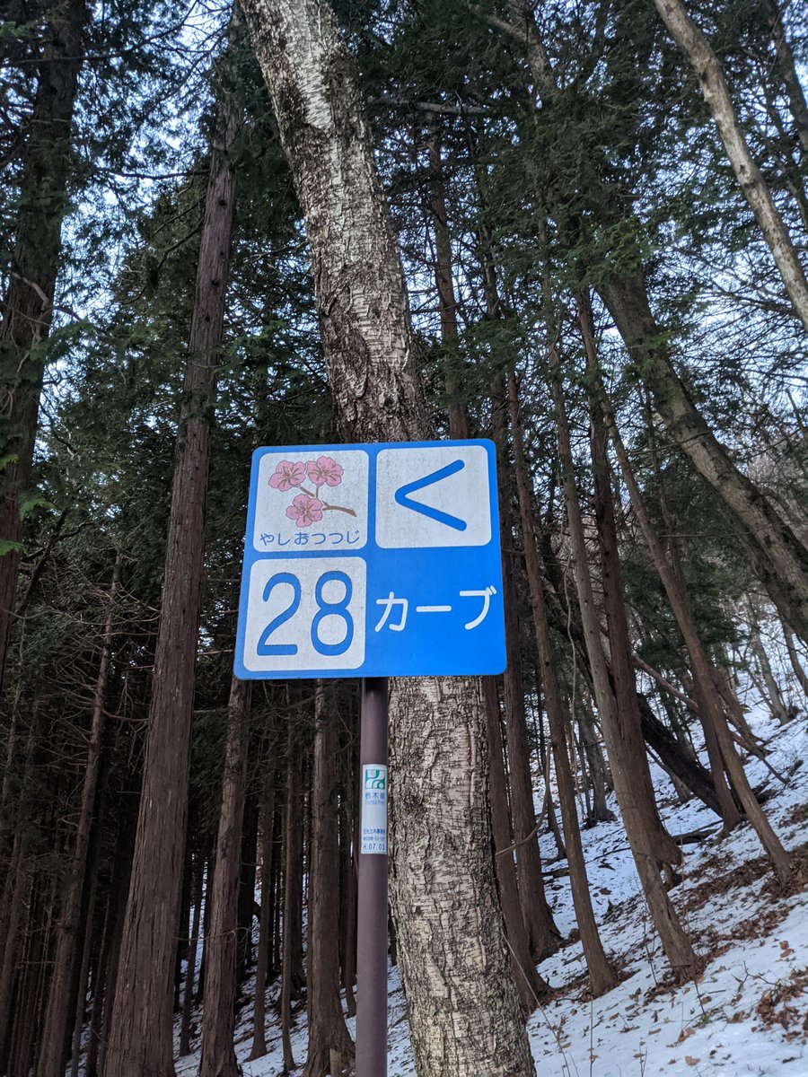 Dawn Hike in Nikkō, Tochigi — Winter Forest Roads photo 7