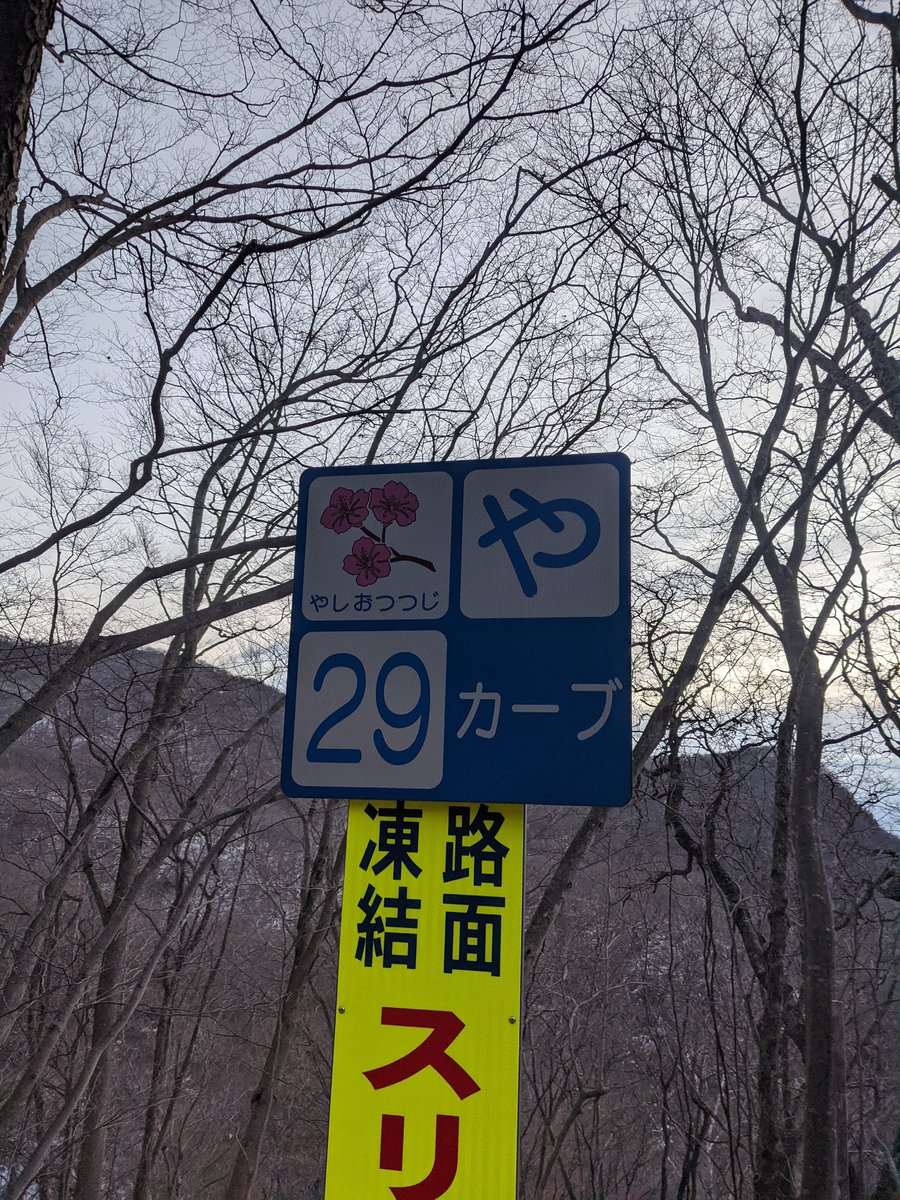 Dawn Hike in Nikkō, Tochigi — Winter Forest Roads photo 8
