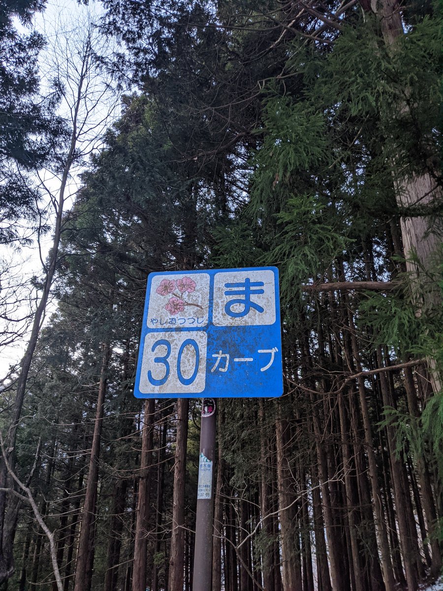 Dawn Hike in Nikkō, Tochigi — Winter Forest Roads photo 9