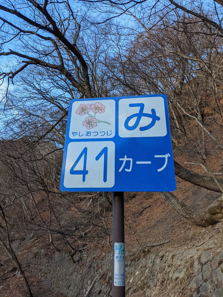 Early Morning on Nikkō's Mountain Road, Tochigi photo 4