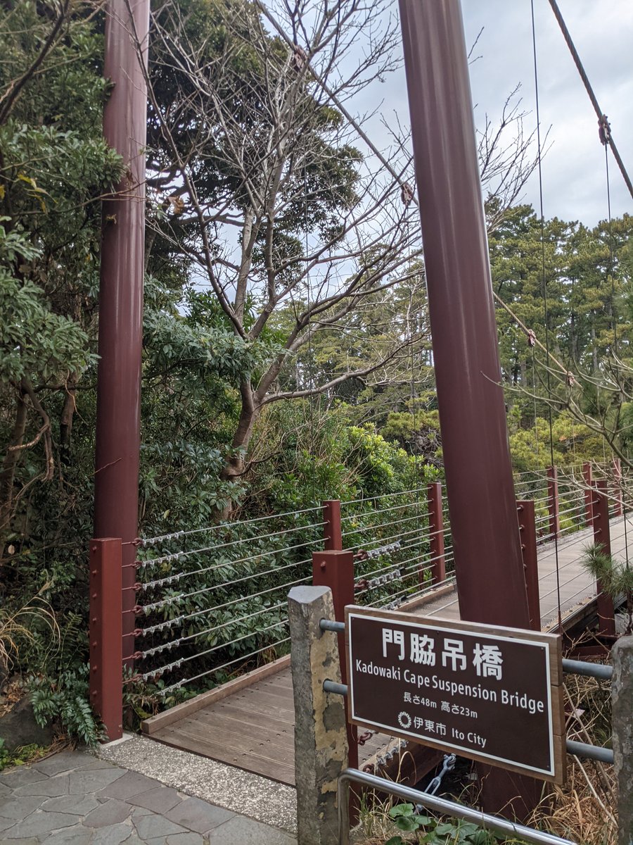 Forest Suspension Bridge, Ito, Shizuoka photo 2