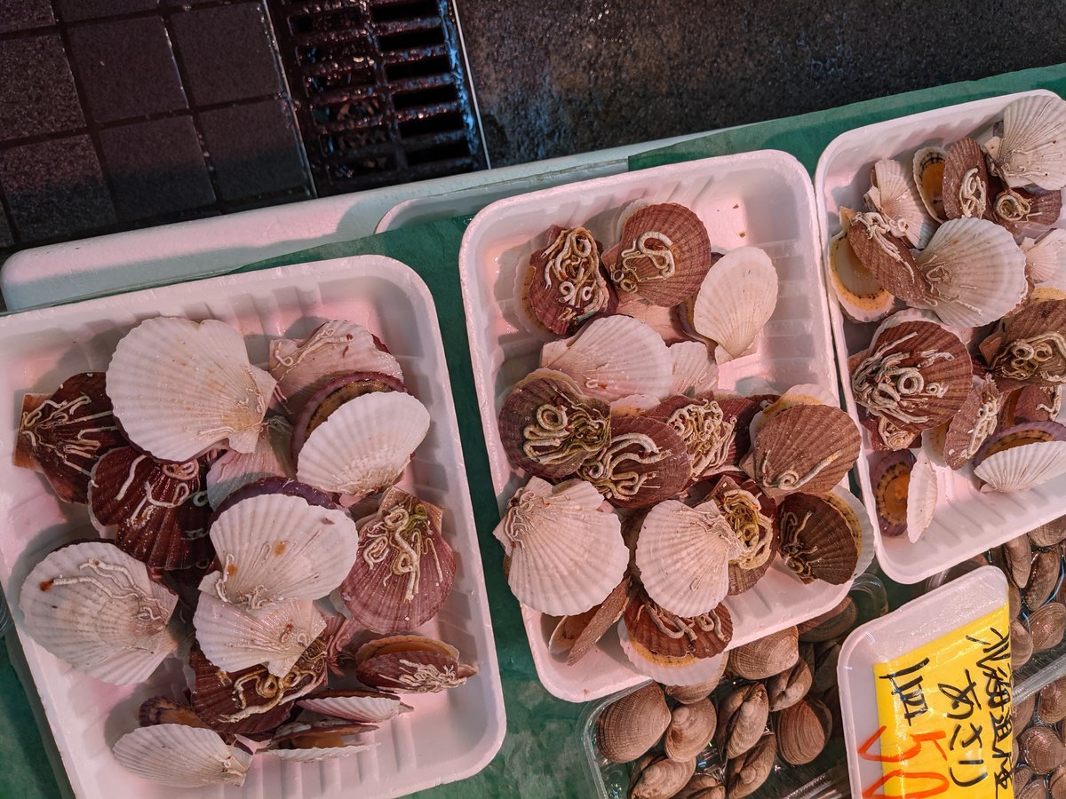 Fresh Scallops at Shimonaga Market, Hachinohe