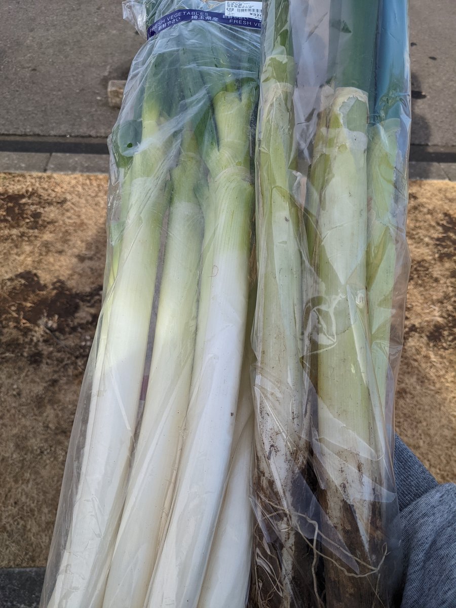 Fresh Farm Produce at Okabe Michi-no-Eki, Saitama photo 2