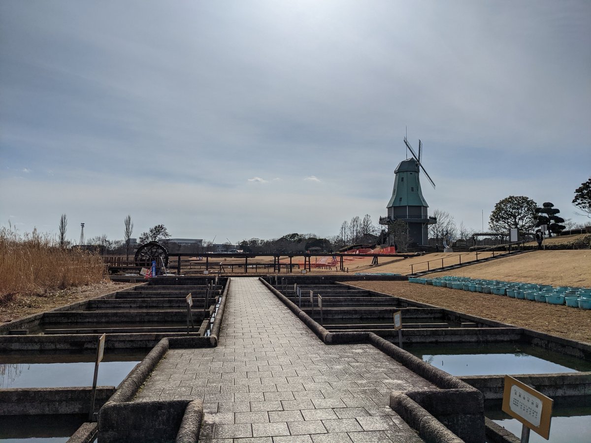 Early Spring at Takita, Tsuchiura Lake, Ibaraki photo 2