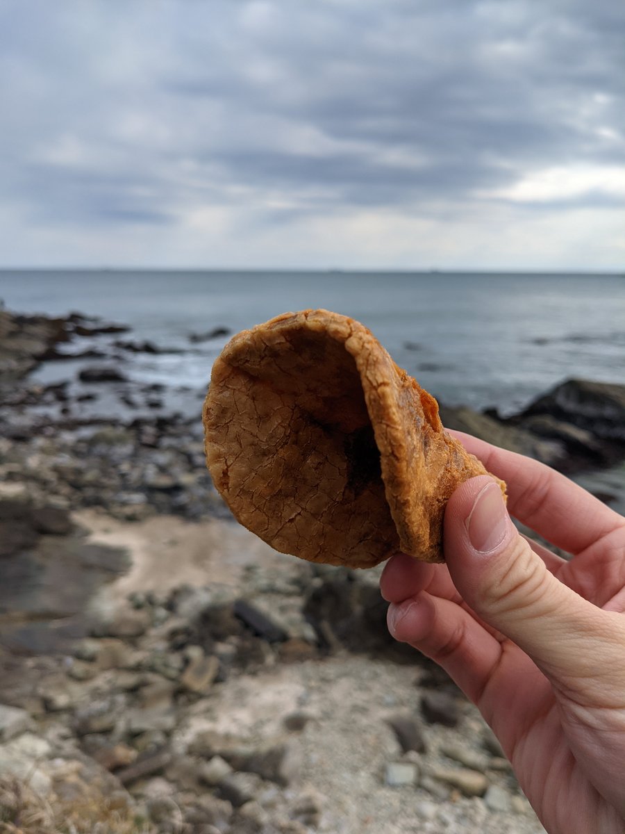 Fresh-Fried Street Snack at Inubousaki, Choshi