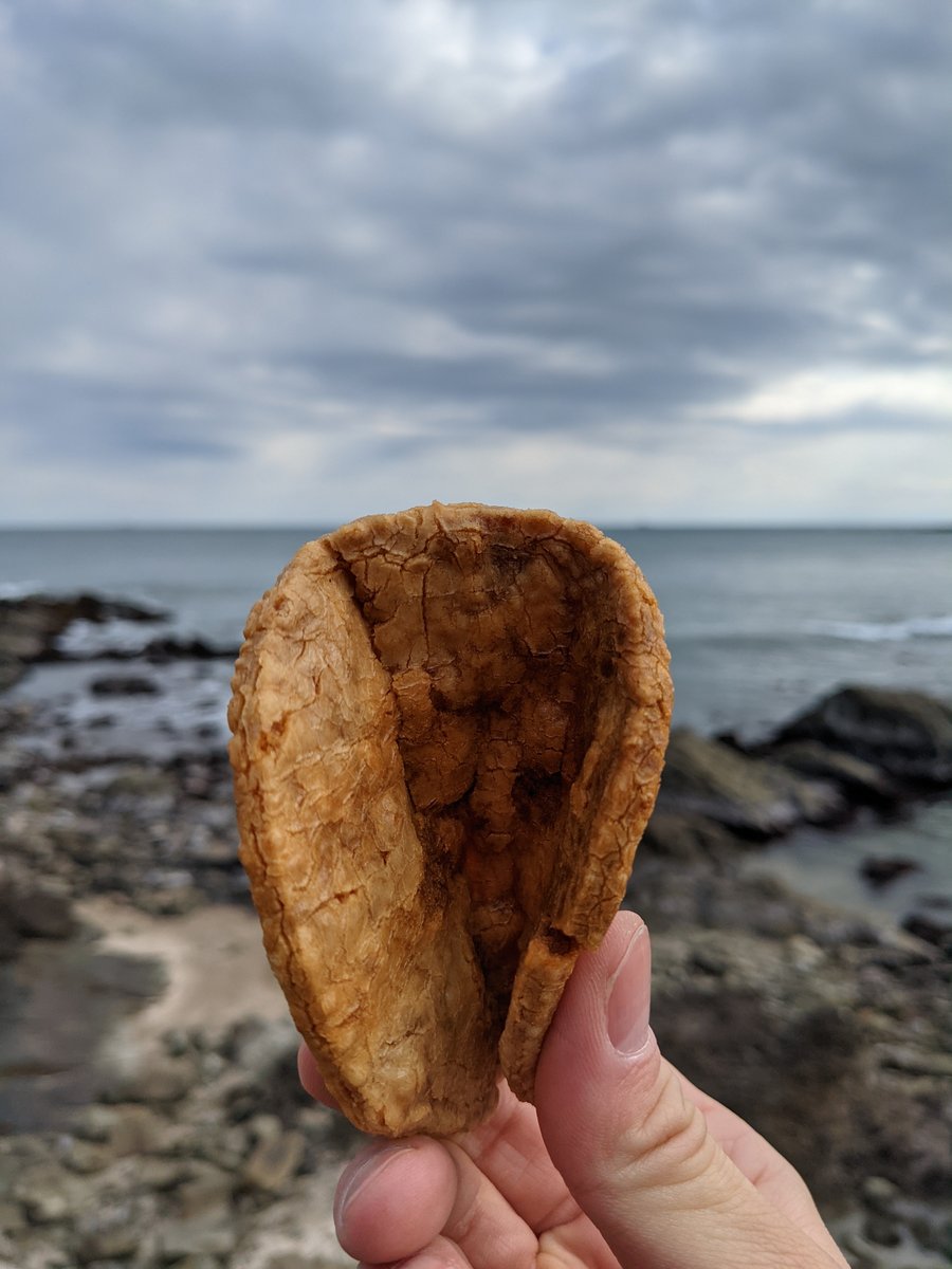 Fresh-Fried Street Snack at Inubousaki, Choshi photo 3