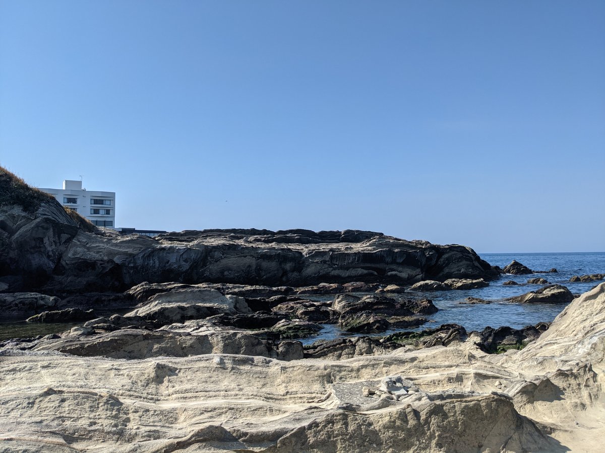 Jogashima Island Cliffs, Miura, Kanagawa photo 5