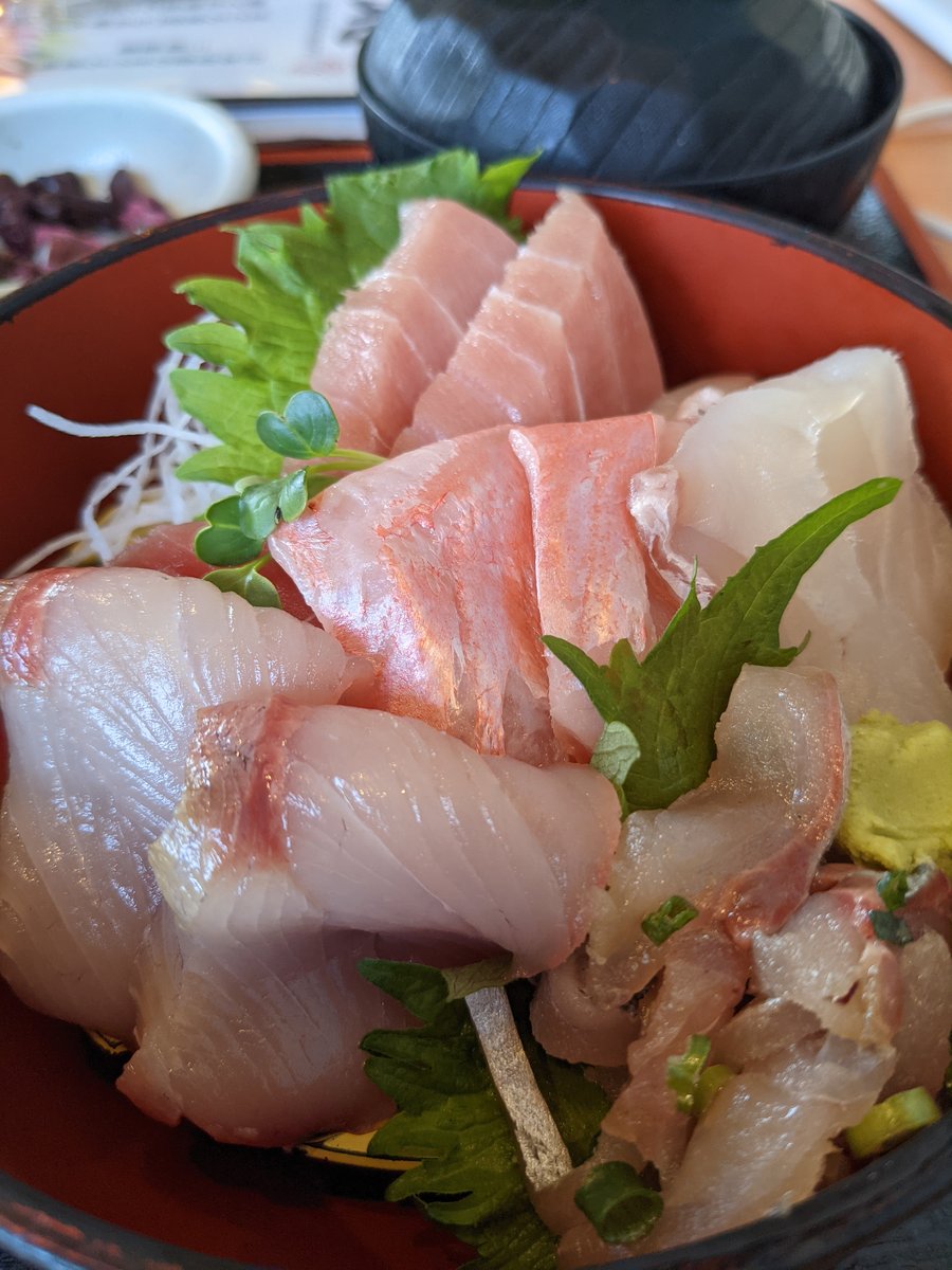 Fresh Sushi at Misaki, Miura — Kanagawa's Hidden Fish Market