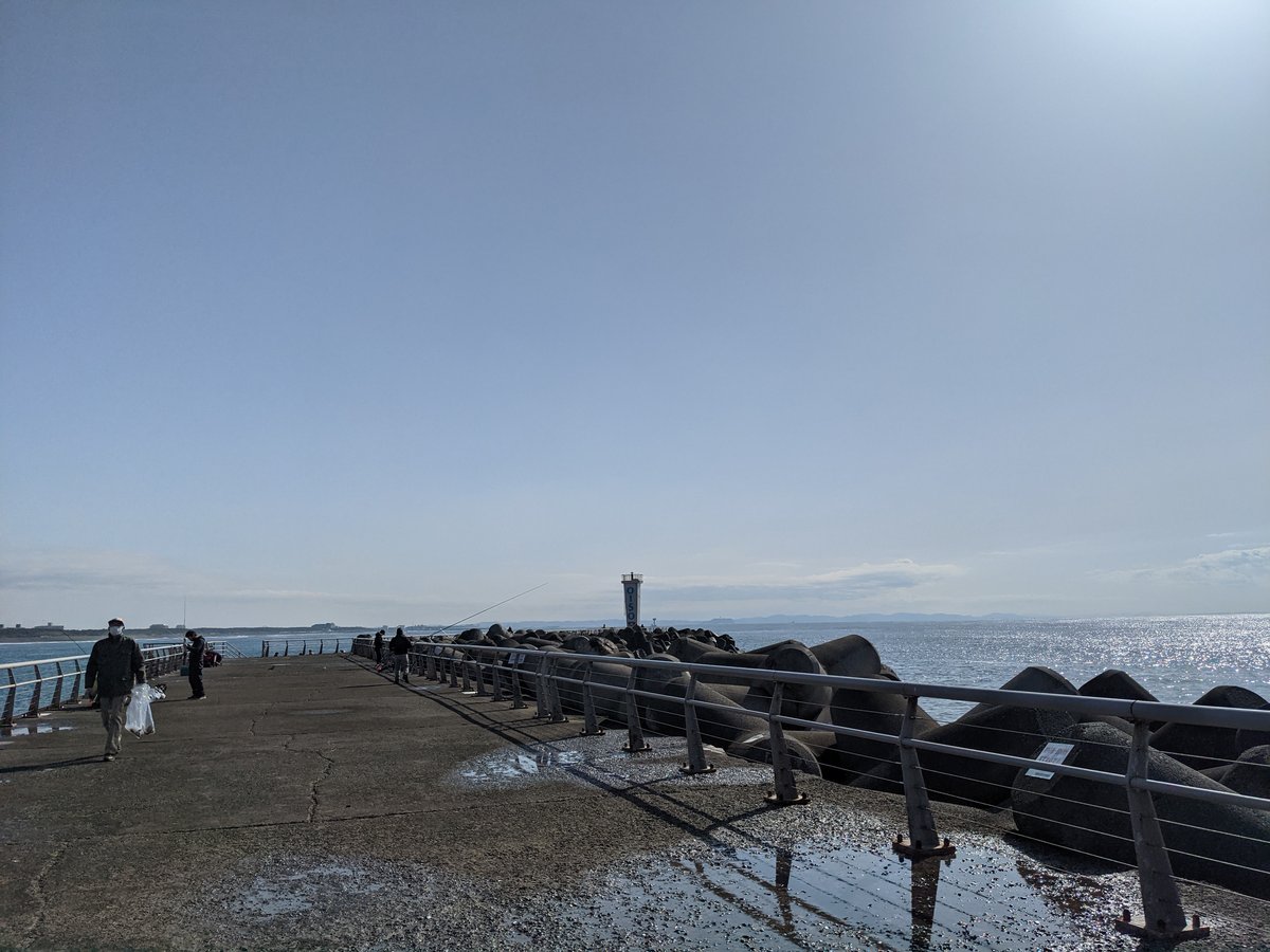 Early Spring Walk Along Oiso Harbour, Kanagawa