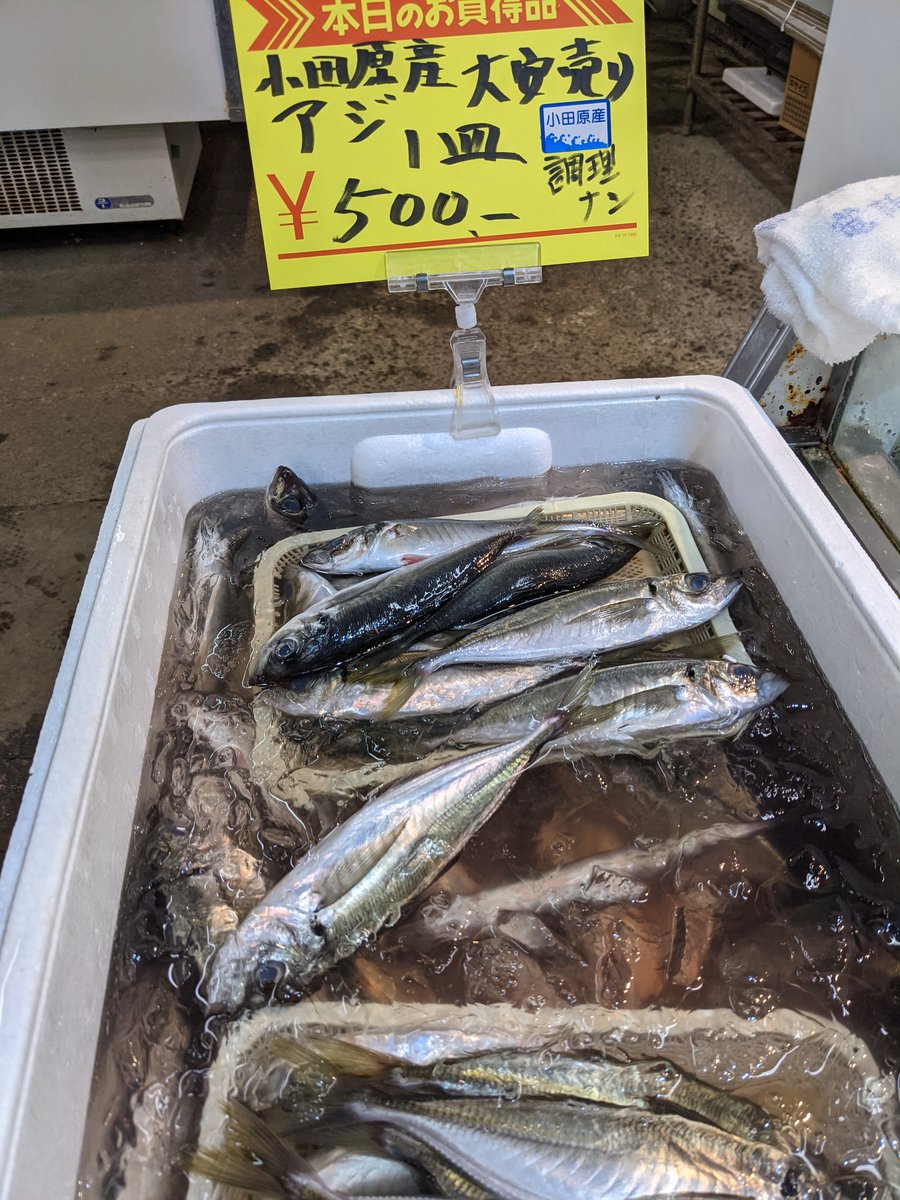 Fresh Fried Fish at Hayakawa Market, Odawara photo 3