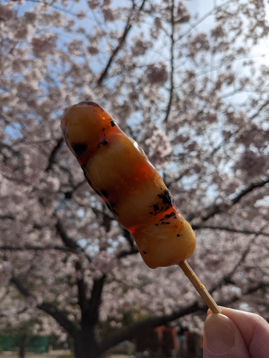 Sakura Season Street Food, Mita 4-chome Tokyo