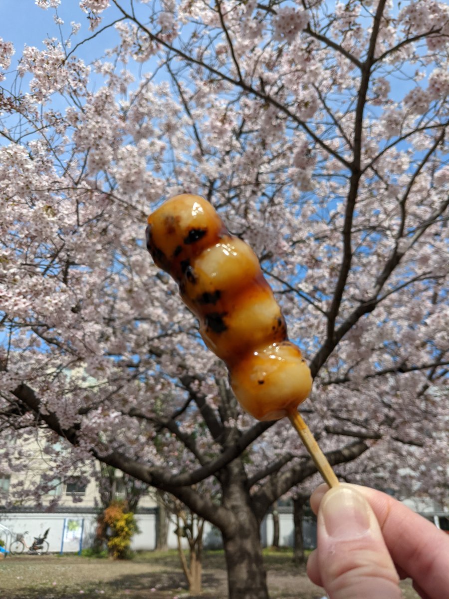 Sakura Season Street Food, Mita 4-chome Tokyo photo 5