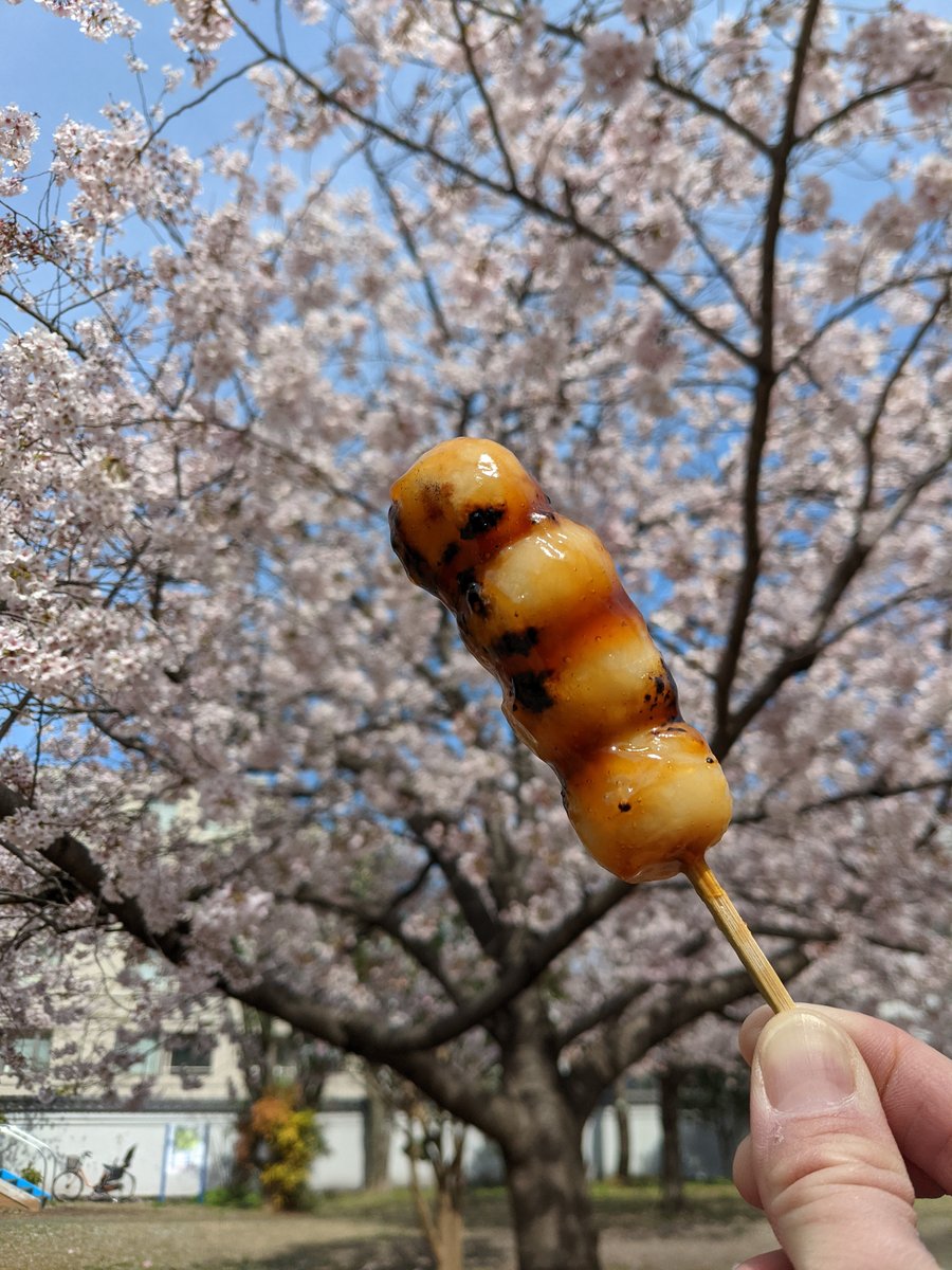 Sakura Season Street Food, Mita 4-chome Tokyo photo 6