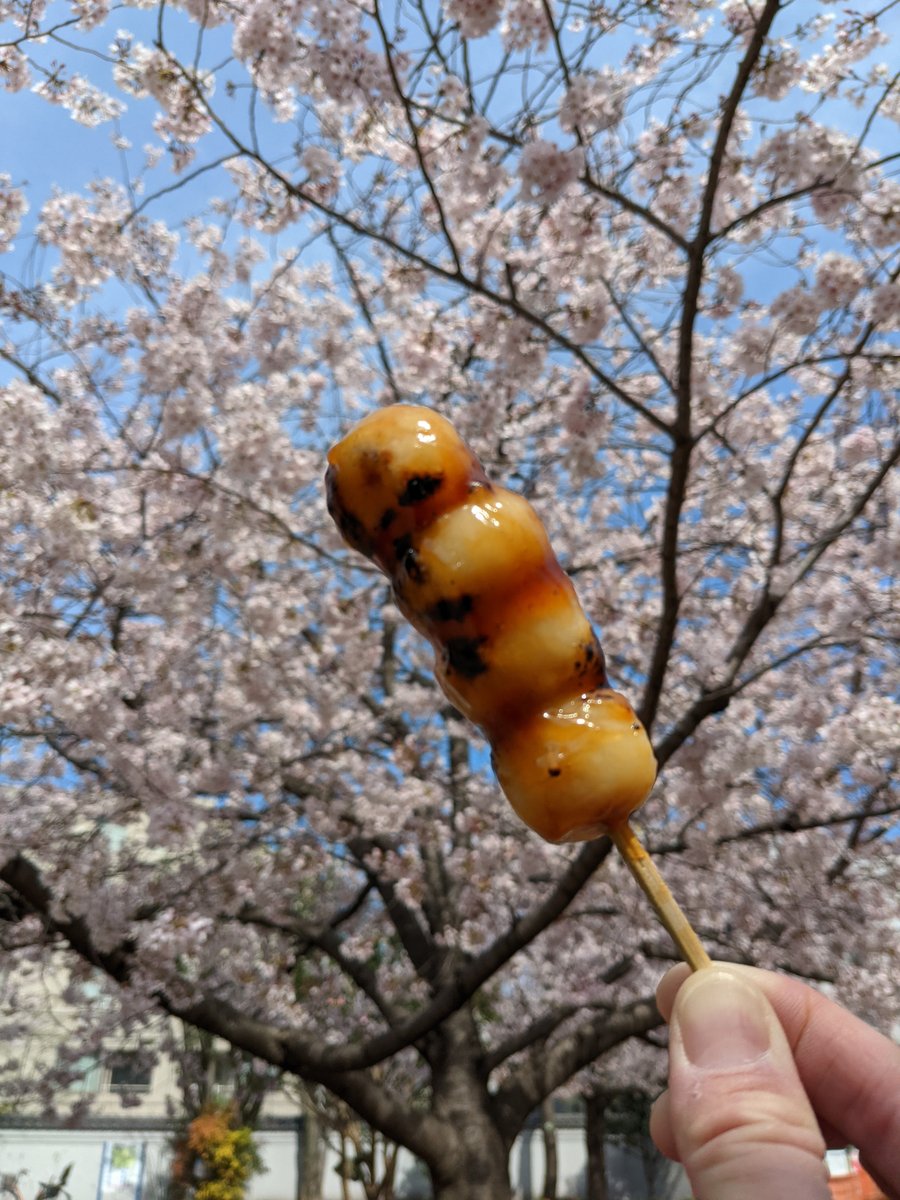 Sakura Season Street Food, Mita 4-chome Tokyo photo 7